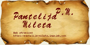 Pantelija Mileta vizit kartica
